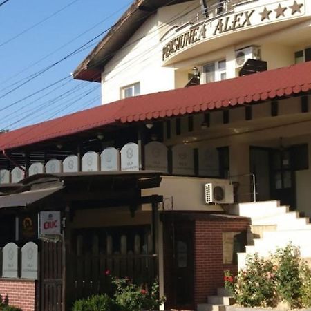 Vila Alex&Razvan Tulcea Exteriér fotografie